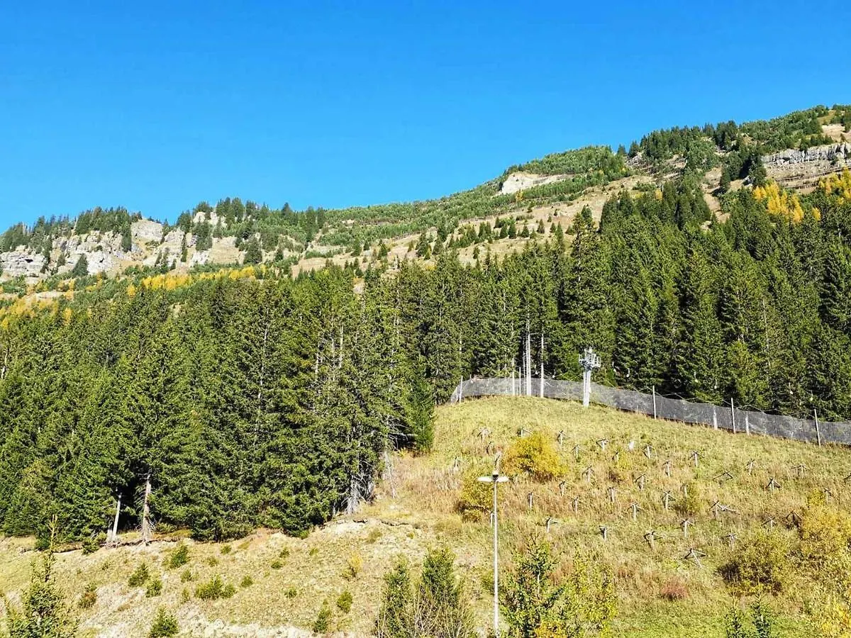 Studio 4 Pers, 300M Pistes, Proche Commerces, Navette Gratuite, Casier A Skis, Lave-Linge - Fr-1-687-91 Araches-la-Frasse France